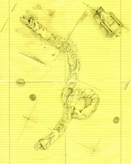 Security, 2020, graphite on paper 