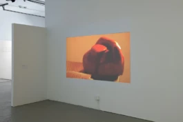 Stage Presence, 2023, installation view 